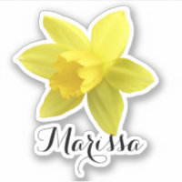 Yellow Daffodil Name