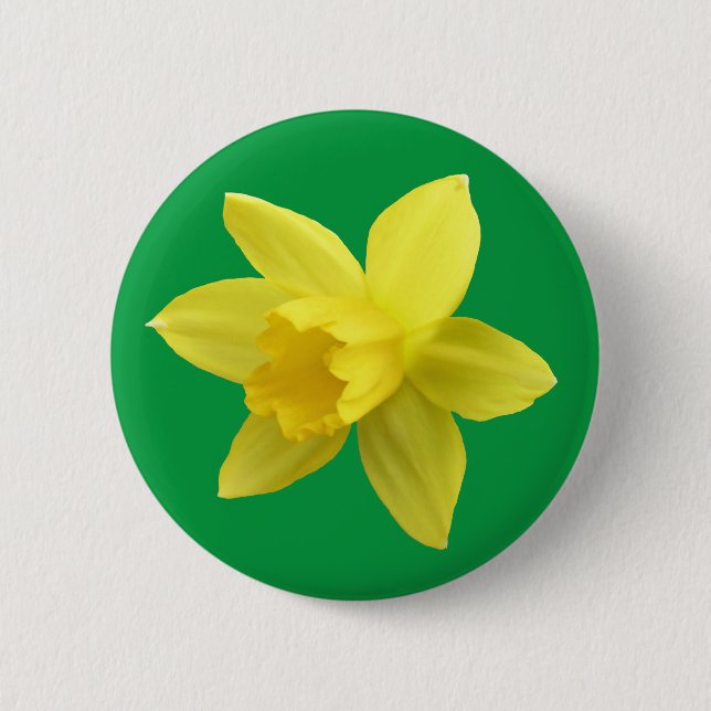 Yellow Daffodil on Green 6 Cm Round Badge (Front)