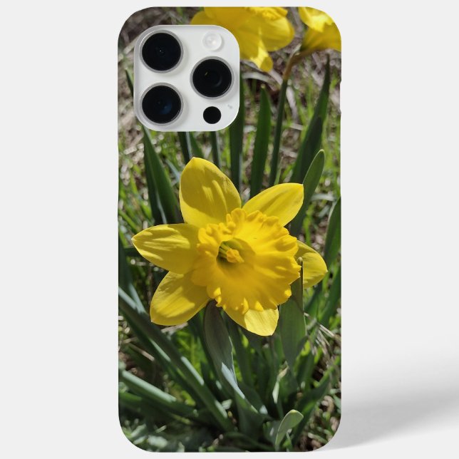 Yellow Daffodil Plant Case-Mate iPhone Case (Back)