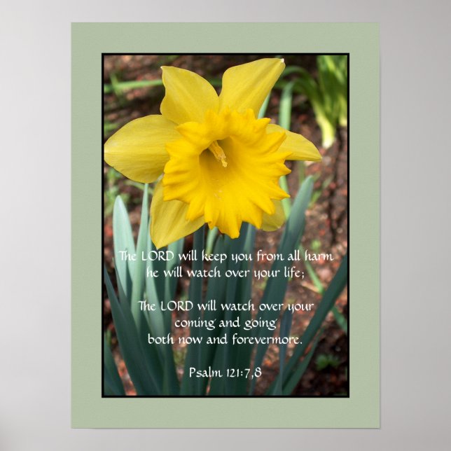Yellow Daffodil ~ Psalm 121:7,8 Poster (Front)