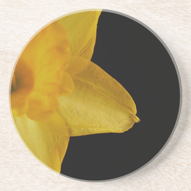Yellow Daffodil Sandstone Coaster (Front)