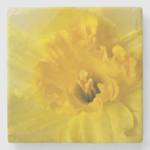 yellow daffodil stone coaster