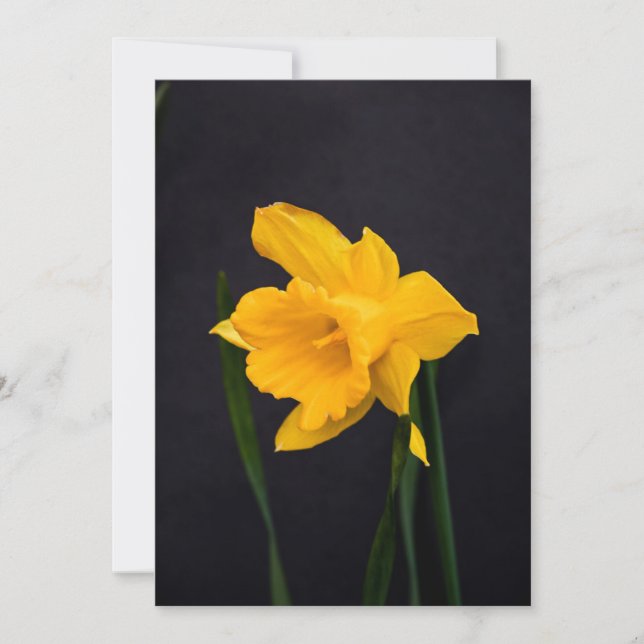 Yellow Daffodil Thank You Card (Front)