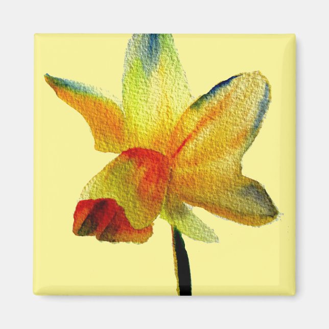 Yellow Daffodil watercolour art Spring Flower Magnet (Front)