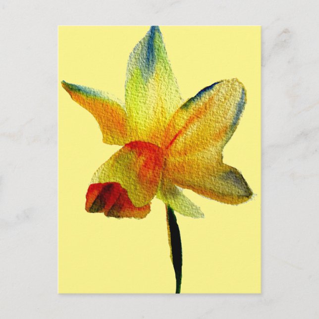 Yellow Daffodil watercolour art Spring Flower Postcard (Front)