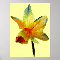 Yellow Daffodil watercolour spring flower art