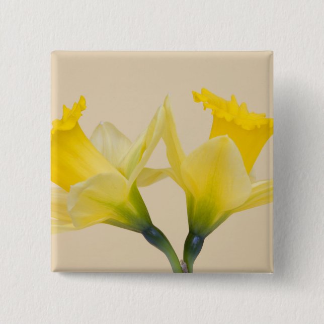Yellow daffodils 15 cm square badge (Front)