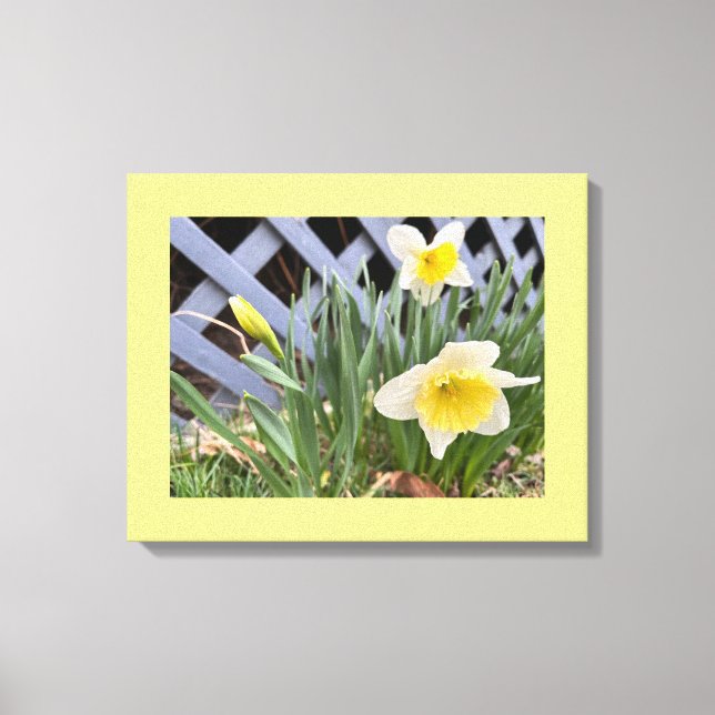 Yellow Daffodils #2 Canvas Print (Front)
