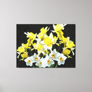 Yellow Daffodils And White Narcissi On Grey Canvas Print