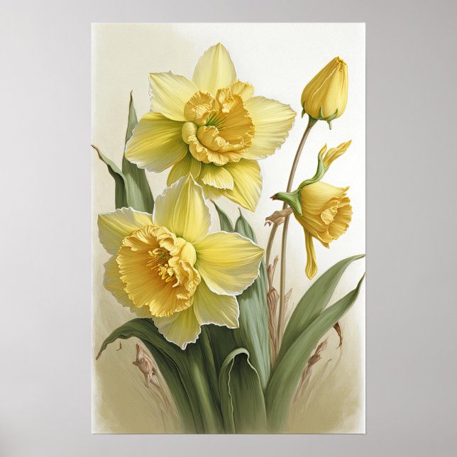 Yellow Daffodils Flower Art Print Poster (Front)