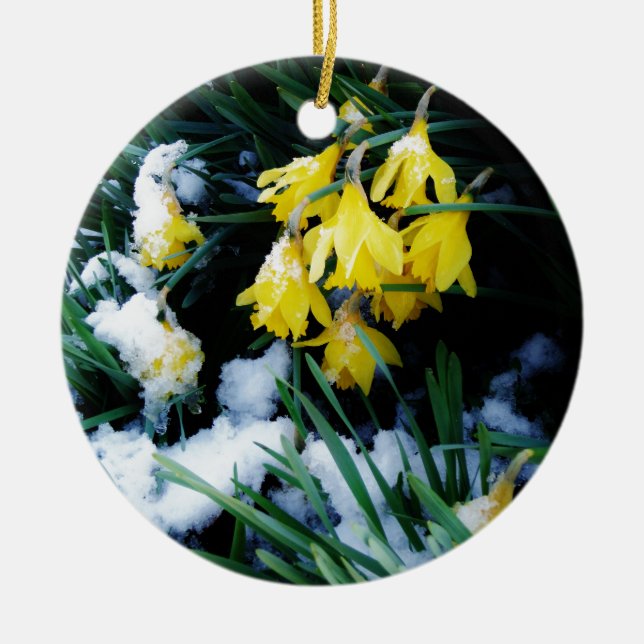 Yellow Daffodils flowers in the snow Ceramic Tree Decoration (Front)