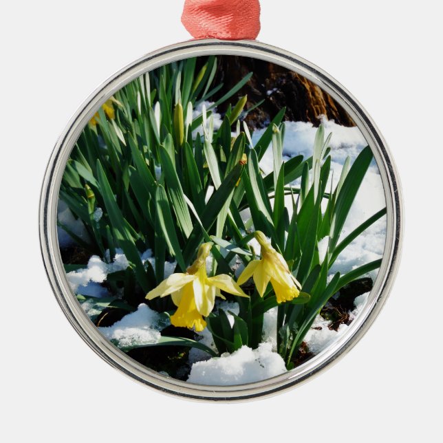 Yellow Daffodils flowers in the snow Metal Tree Decoration (Front)