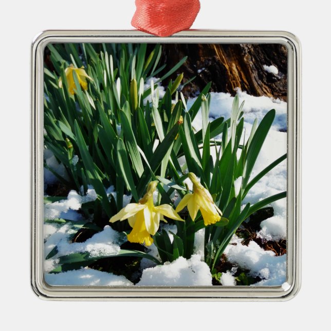 Yellow Daffodils flowers in the snow Metal Tree Decoration (Front)