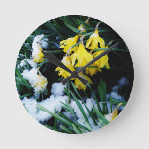 Yellow Daffodils flowers in the snow Round Clock