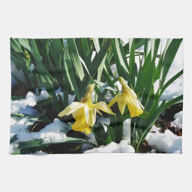 Yellow Daffodils flowers in the snow Tea Towel (Horizontal)
