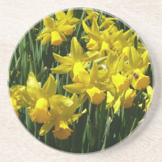 Yellow Daffodils I Cheery Spring Flowers Coaster