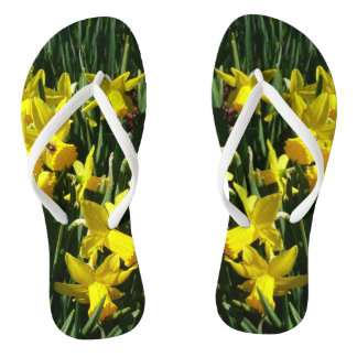 Yellow Daffodils I Cheery Spring Flowers Jandals