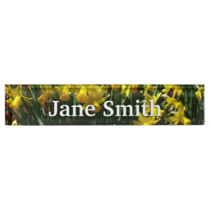 Yellow Daffodils I Cheery Spring Flowers Nameplate