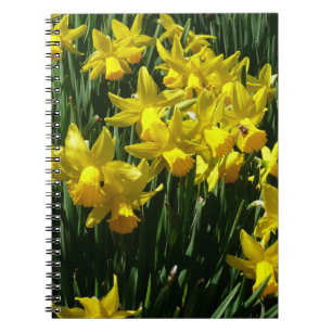 Yellow Daffodils I Cheery Spring Flowers Notebook
