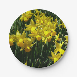 Yellow Daffodils I Cheery Spring Flowers Paper Plate