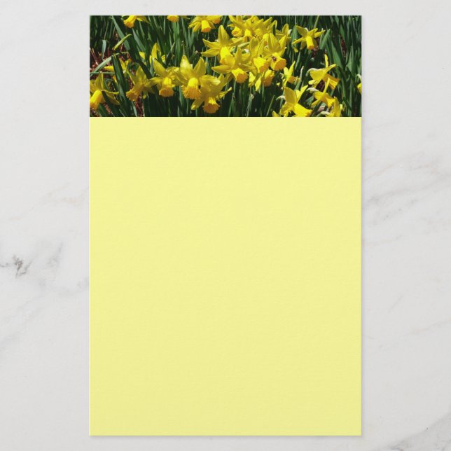 Yellow Daffodils I Cheery Spring Flowers Stationery (Front)