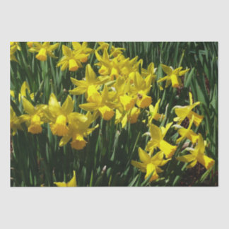 Yellow Daffodils I Cheery Spring Flowers Tissue Paper