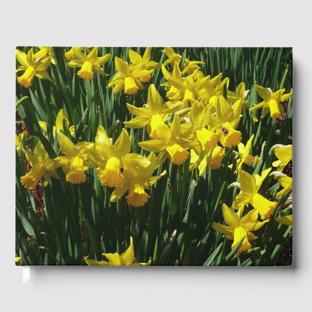 Yellow Daffodils I Guest Book (Front)