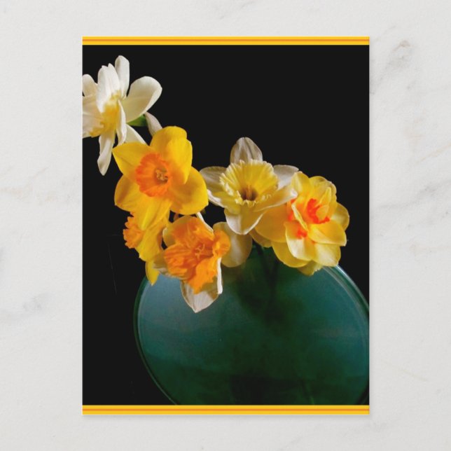 Yellow Daffodils In Vase Design Postcard (Front)