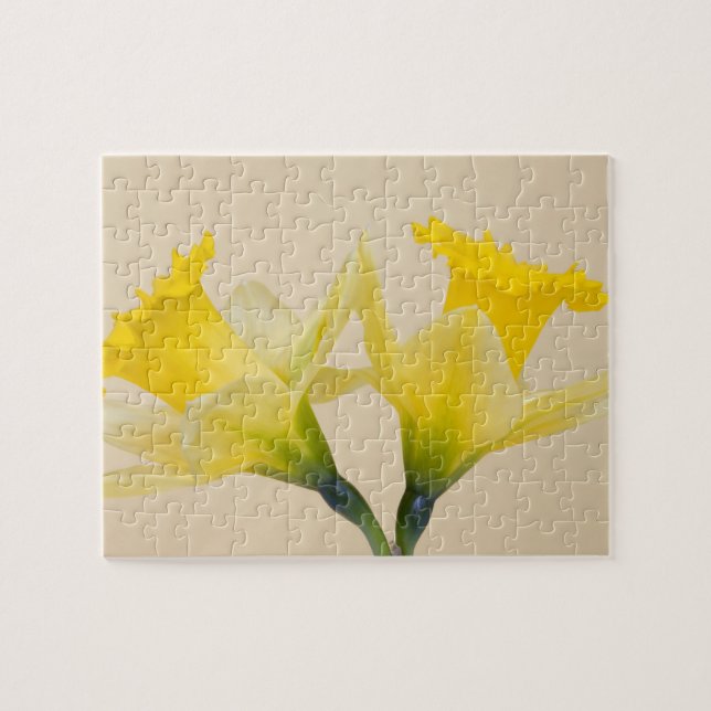 Yellow daffodils jigsaw puzzle (Horizontal)