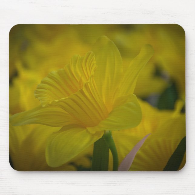 Yellow daffodils mousepad (Front)