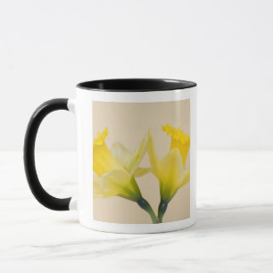 Yellow daffodils mug