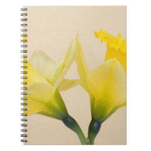Yellow daffodils spiral notebook