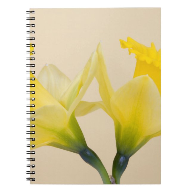 Yellow daffodils spiral notebook (Front)