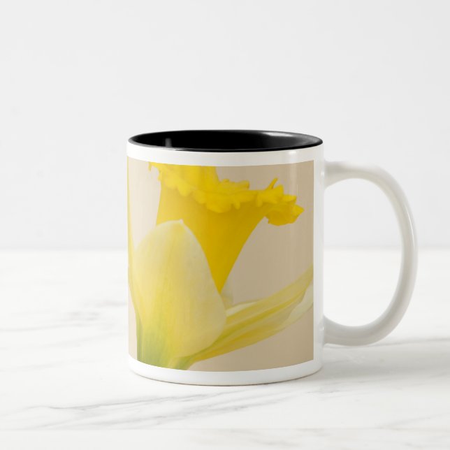 Yellow daffodils Two-Tone coffee mug (Right)