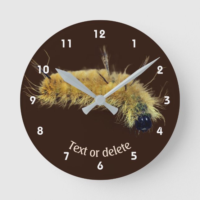 Yellow Dagger Moth Caterpillar Personalised Round Clock (Front)