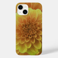 Yellow Dahlia