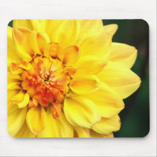 Yellow Dahlia Mousepad