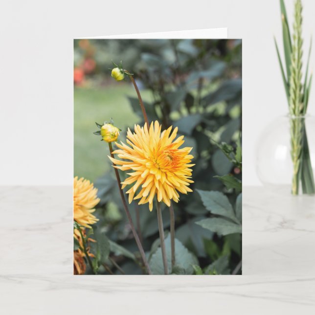 Yellow Dahlia  Note  Card (Front)