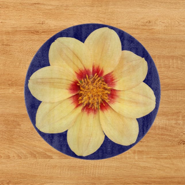 Yellow Dahlia on Blue Floral Cutting Board (In Situ)