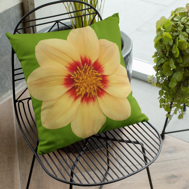 Yellow Dahlia on Green Floral Cushion (In Situ Patio)