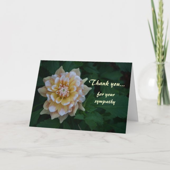 Yellow dahlia Thank you for your sympathy cards (Front)