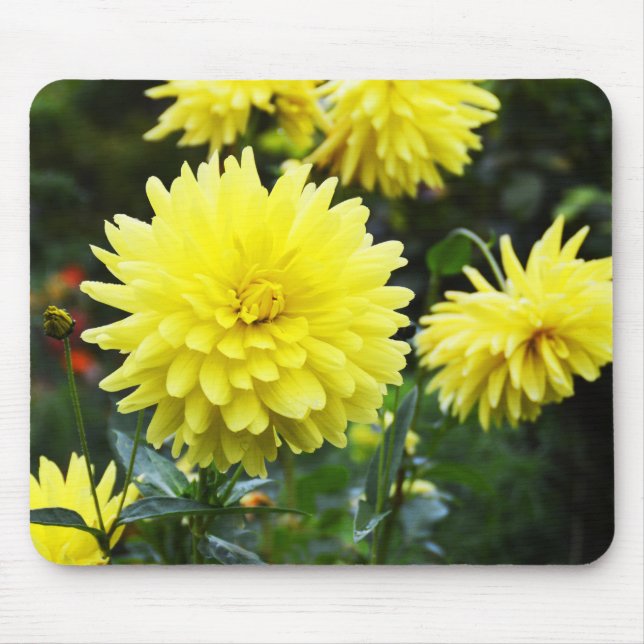 Yellow dahlias floral mouse pad (Front)