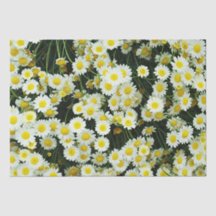 Yellow Dainty Daisy Flower Buttons, Tissue Paper
