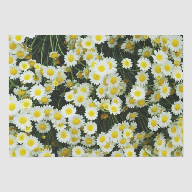 Yellow Dainty Daisy Flower Buttons,  Tissue Paper (Front)