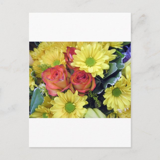 Yellow Daisies and Red Roses Postcard (Front)
