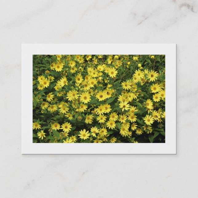 Yellow Daisies (Bordered) Business Card (Front)