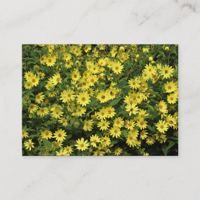 Yellow Daisies Business Card (Front)