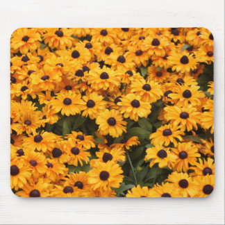 Yellow Daisies Mouse Pad