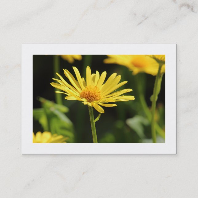 Yellow Daisy (Bordered) Business Card (Front)