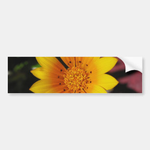 Yellow Daisy Bumper Sticker